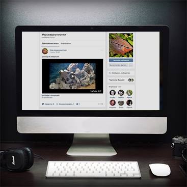 продвижение в социальных сетях (SMM) для crifish.com.ua — изображение