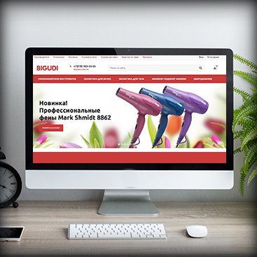 Продвижение bigudi-shop.com — изображение