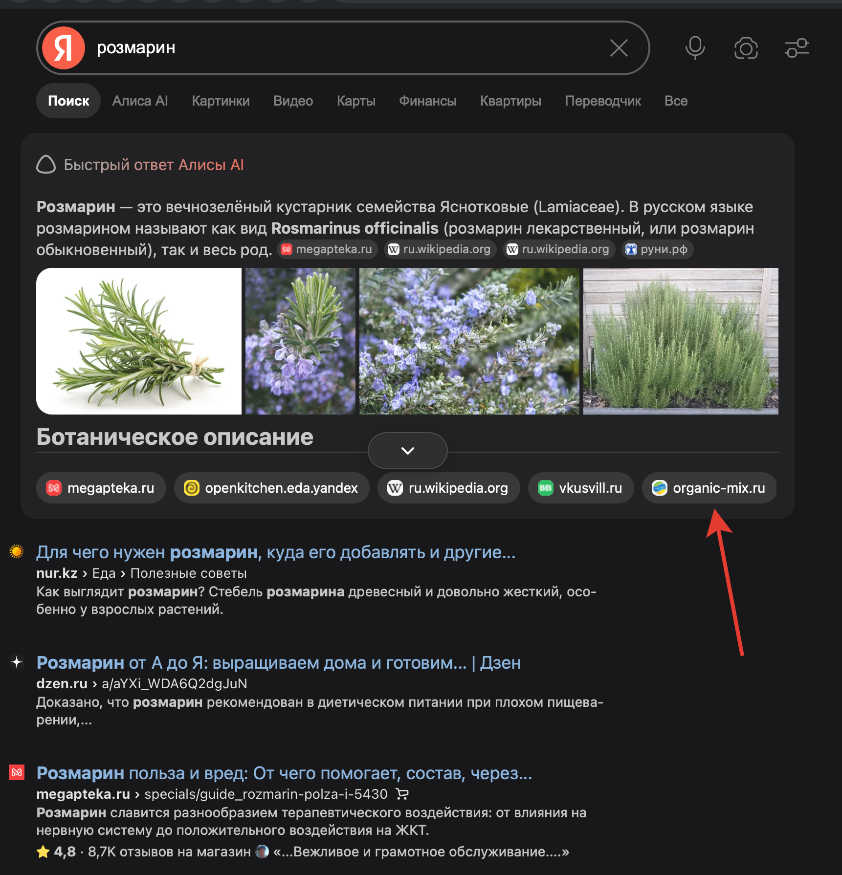 Продвижение «Органик Микс» в ответах ИИ: 3,9 тыс. цитирований за 90 дней 2 Organic Mix среди источников ответа Алисы AI по запросу розмарин